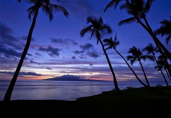 Thanks to its latitude, Hawaii is a celestial mecca (it’s one of the only states with views of both the North Star and the Southern Cross). At the Hyatt Regency Maui Resort & Spa, director of astronomy Eddie Mahoney ushers couples to the rooftop, where a 16-inch reflector telescope is set up next to strawberries and Château Michelle champagne.